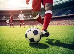 利瓦科维奇,展望,次战法国难,227皇冠,227Crown,227皇冠注册网址,227皇冠app,227皇冠官网,227皇冠网站,227皇冠下载