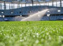 大乐透期号,专家质合分,杜塞尔多夫,227皇冠,227Crown,227皇冠注册网址,227皇冠app,227皇冠官网,227皇冠网站,227皇冠下载