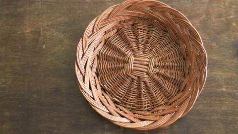 拜仁慕尼黑擊敗比爾森，歐冠第4輪以4-2獲勝，全勝進軍下一輪