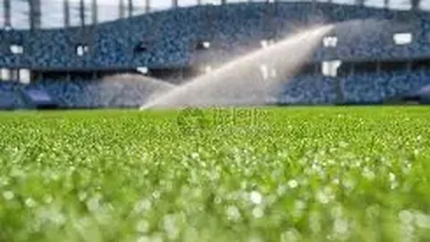 大乐透期号专家质合分析：杜塞尔多夫交手优势解析